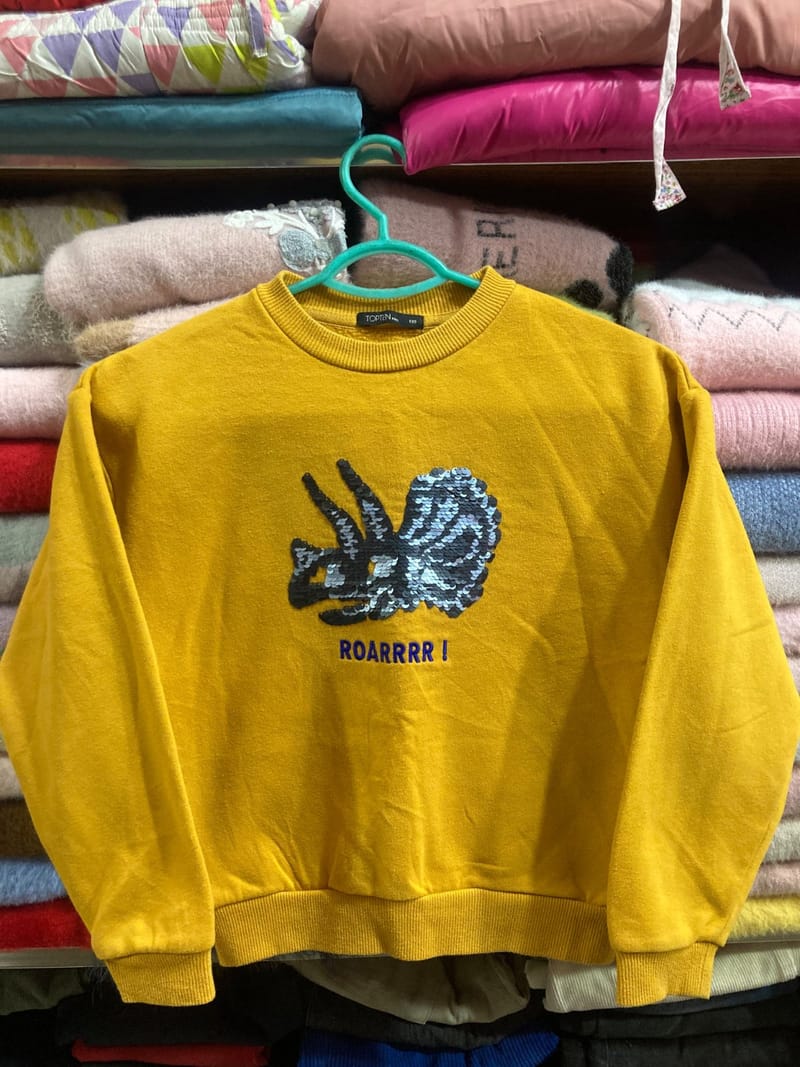 Dinosaur Graphic Sweatshirt