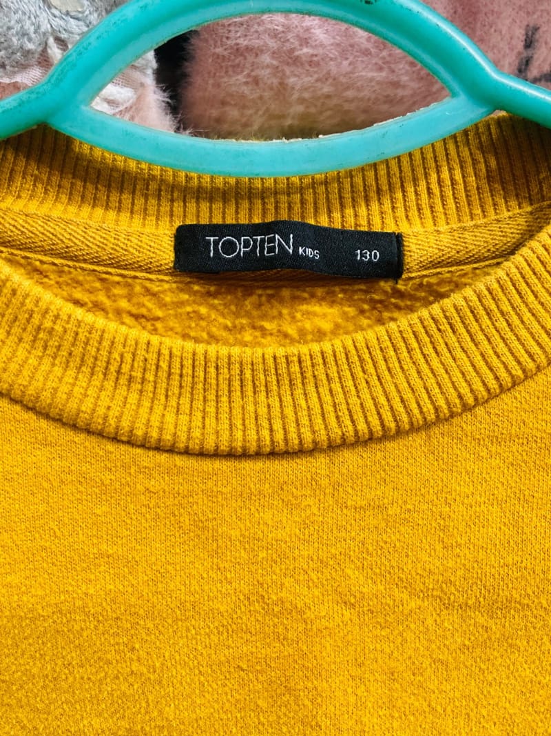 Dinosaur Graphic Sweatshirt, photo 2